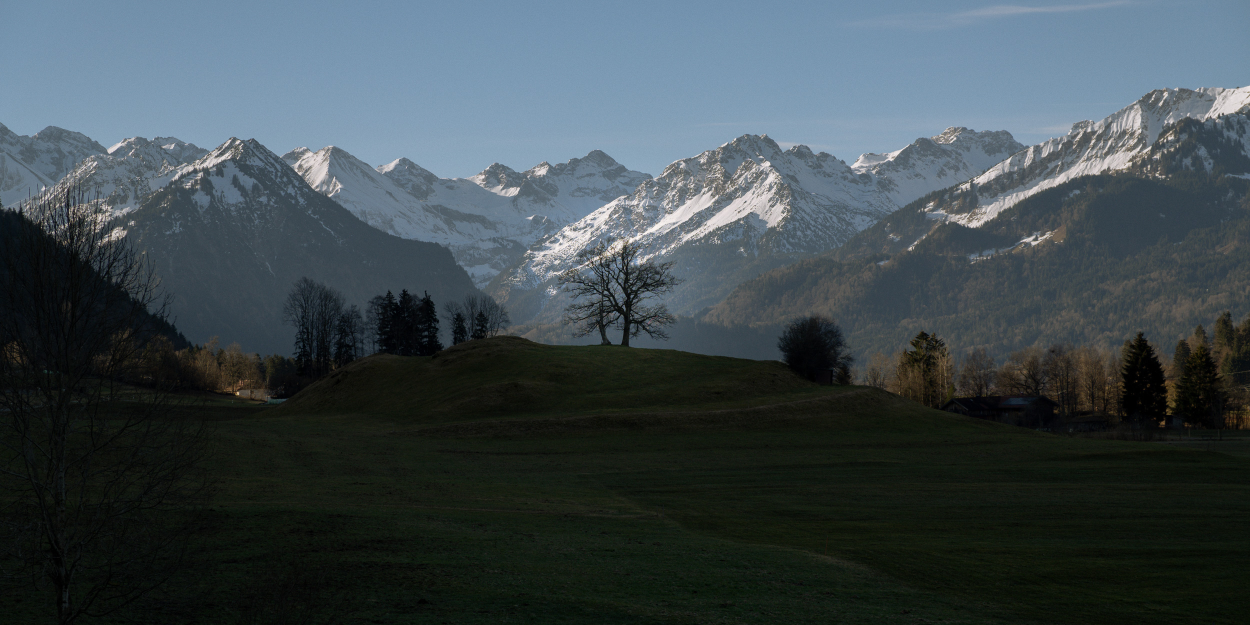 Alpines Panorama