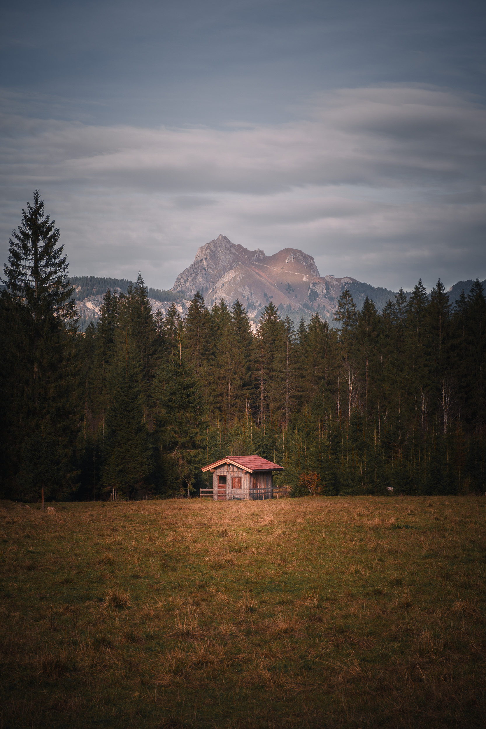 Waldlichtung